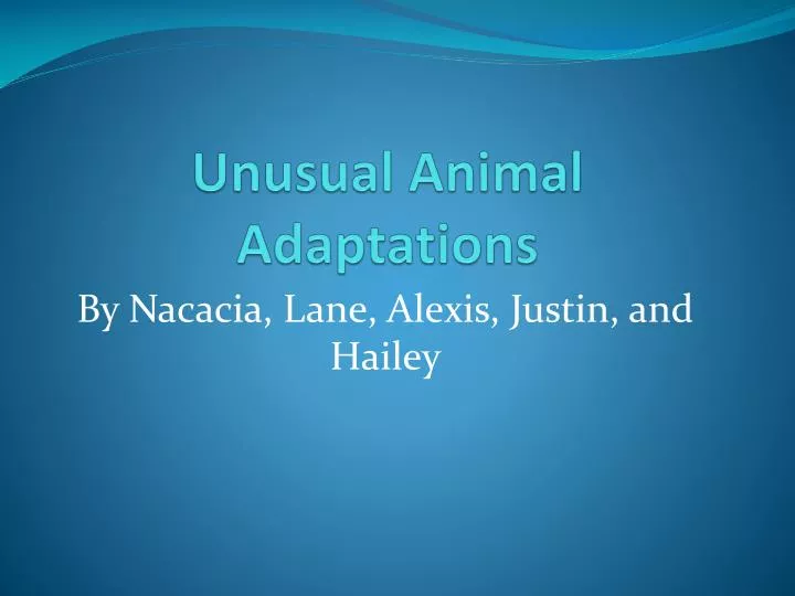 unusual animal adaptations