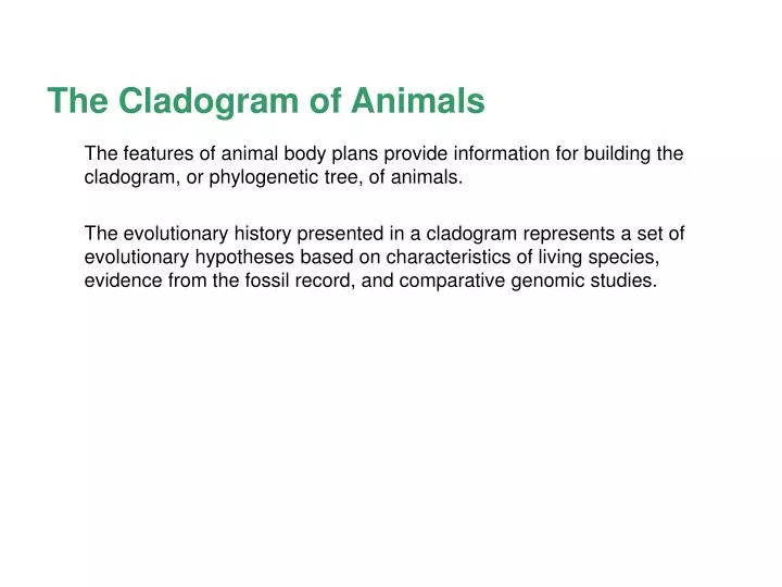 the cladogram of animals