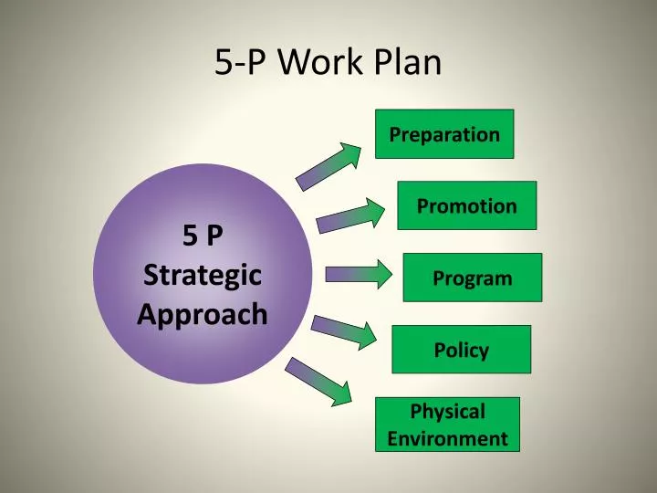 5 p work plan