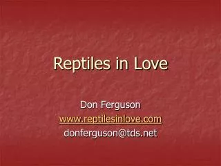 Reptiles in Love