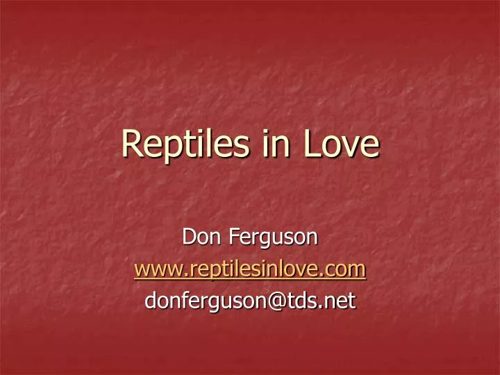 reptiles in love