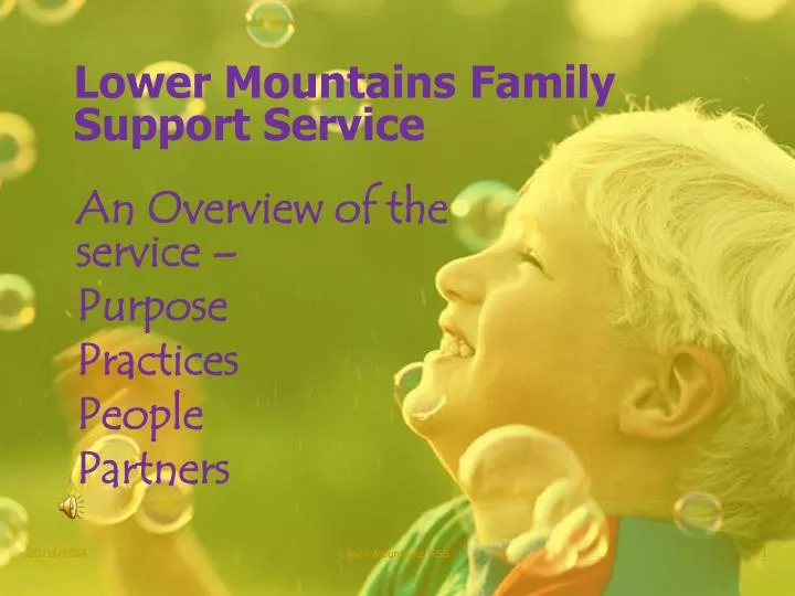 lower mountains family support service