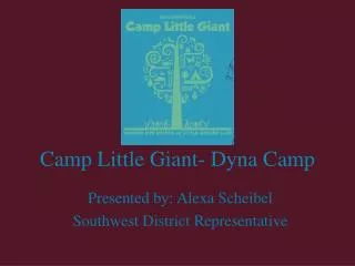 Camp Little Giant- Dyna Camp