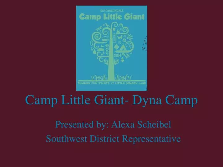camp little giant dyna camp