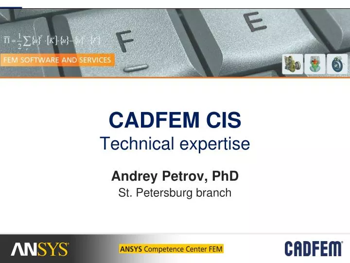 cadfem cis technical expertise