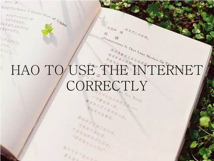hao to use the internet correctly