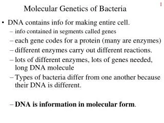 Molecular Genetics of Bacteria