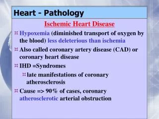 Heart - Pathology