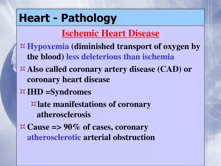 heart pathology