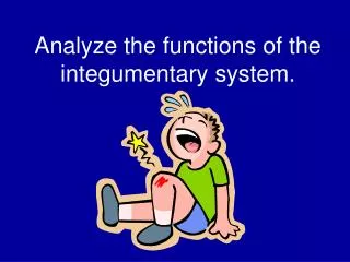 Analyze the functions of the integumentary system.