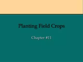 Planting Field Crops