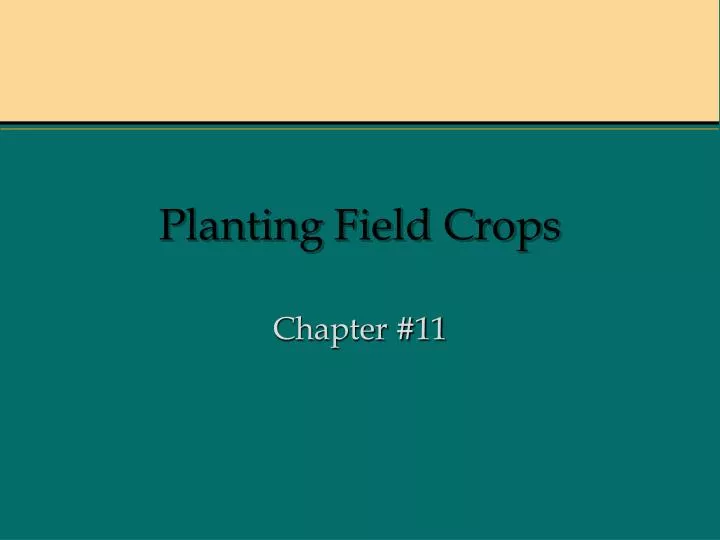 planting field crops