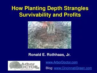 How Planting Depth Strangles Survivability and Profits