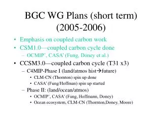 BGC WG Plans (short term) (2005-2006)