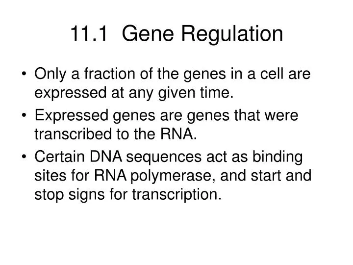 11 1 gene regulation