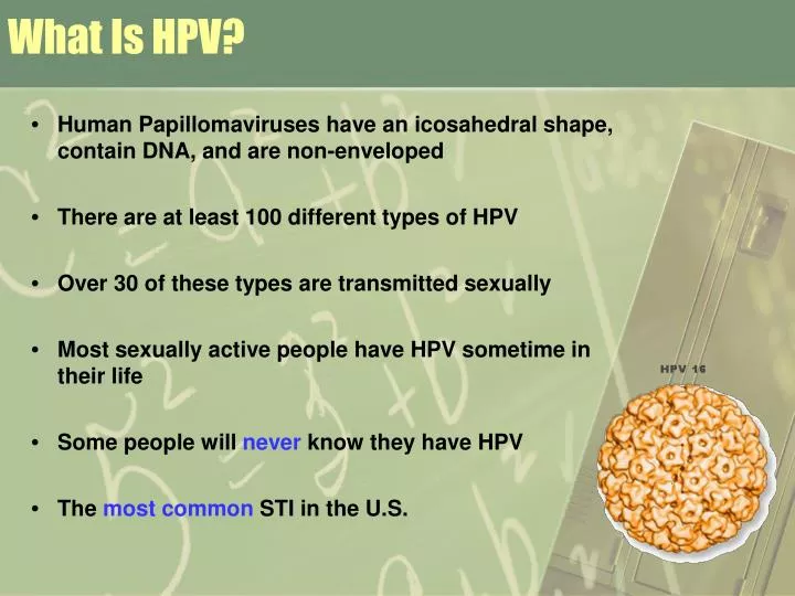 what is hpv
