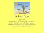 Life Boot Camp - slide 1