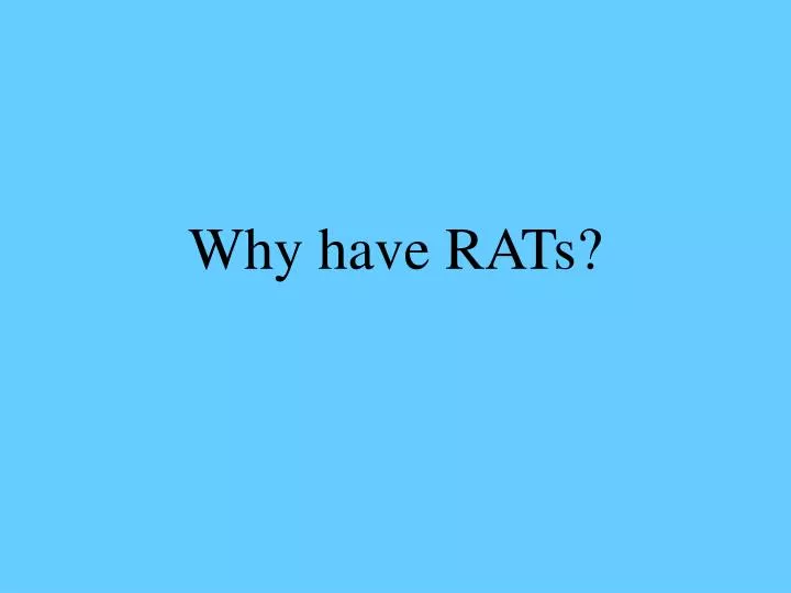 why have rats