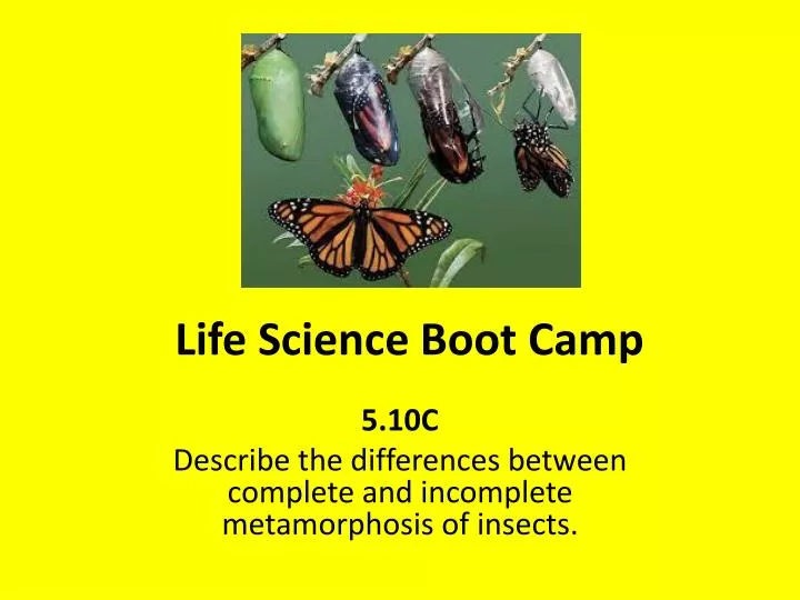life science boot camp