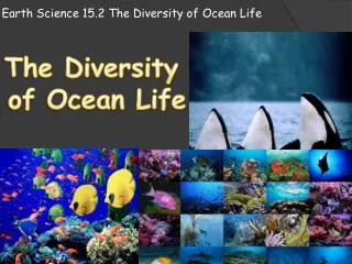 Earth Science 15.2 The Diversity of O cean L ife