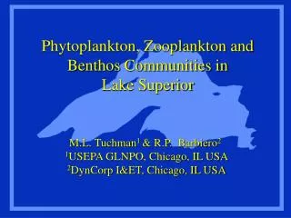Phytoplankton, Zooplankton and Benthos Communities in Lake Superior