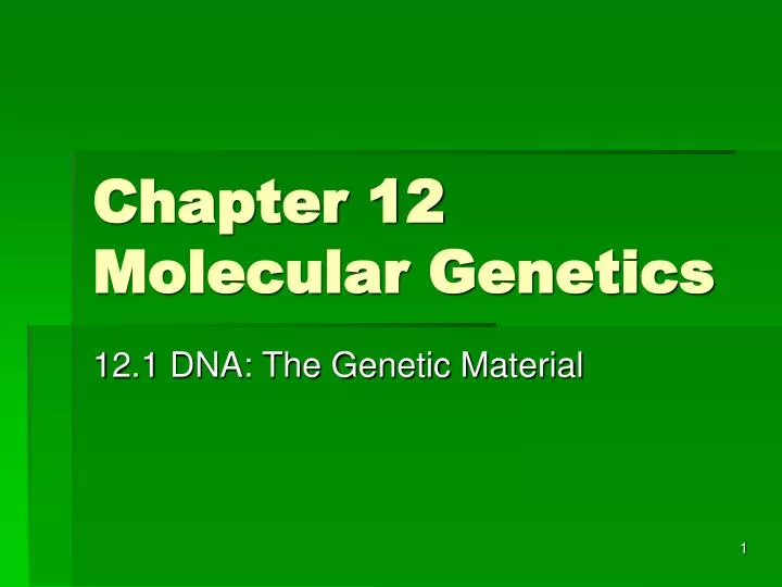 chapter 12 molecular genetics