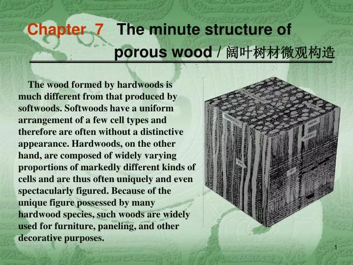 chapter 7 the minute structure of porous wood