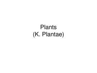 Plants (K. Plantae)