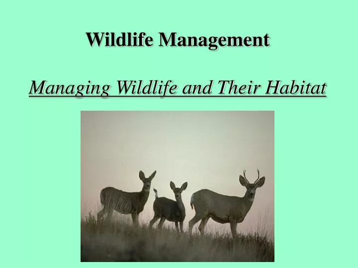 wildlife management managing wildlife and their habitat