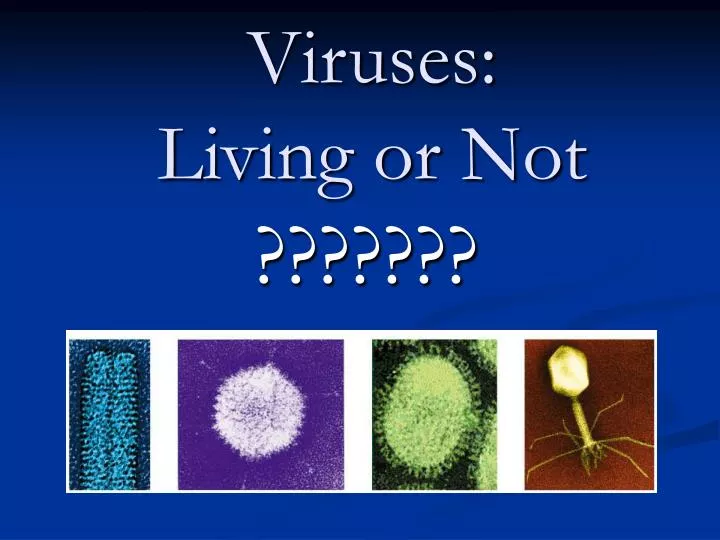 viruses living or not