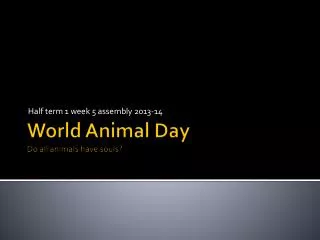 World Animal Day Do all animals have souls?