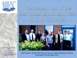 Pre-Assessment of the East Coast Brown and Pink Shrimp Fisheries