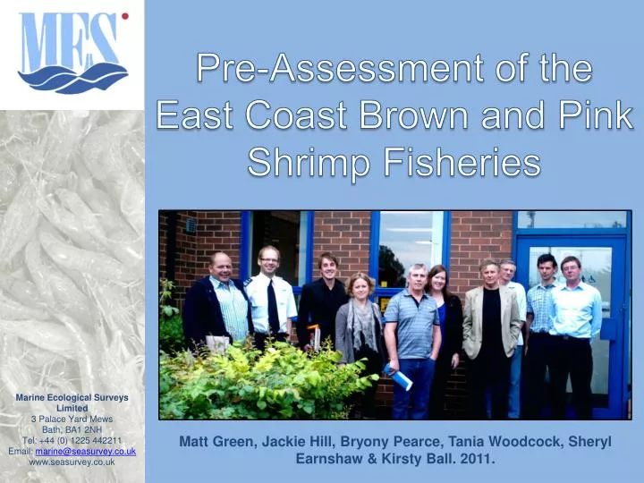 pre assessment of the east coast brown and pink shrimp fisheries
