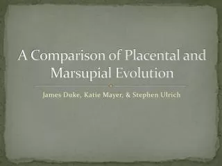 A Comparison of Placental and Marsupial Evolution