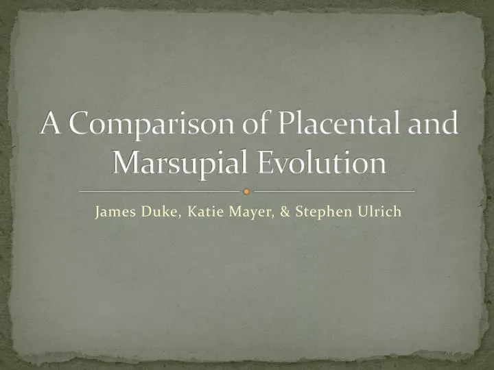 a comparison of placental and marsupial evolution