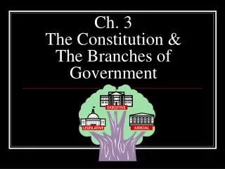 Ch. 3 The Constitution &amp; The Branches of Government