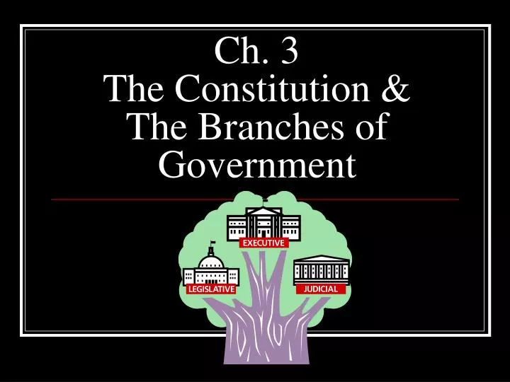 ch 3 the constitution the branches of government