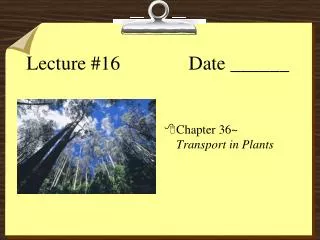 Lecture #16		 Date ______