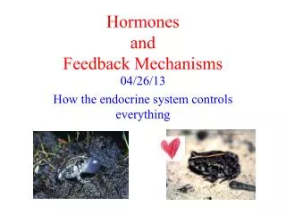 Hormones and Feedback Mechanisms