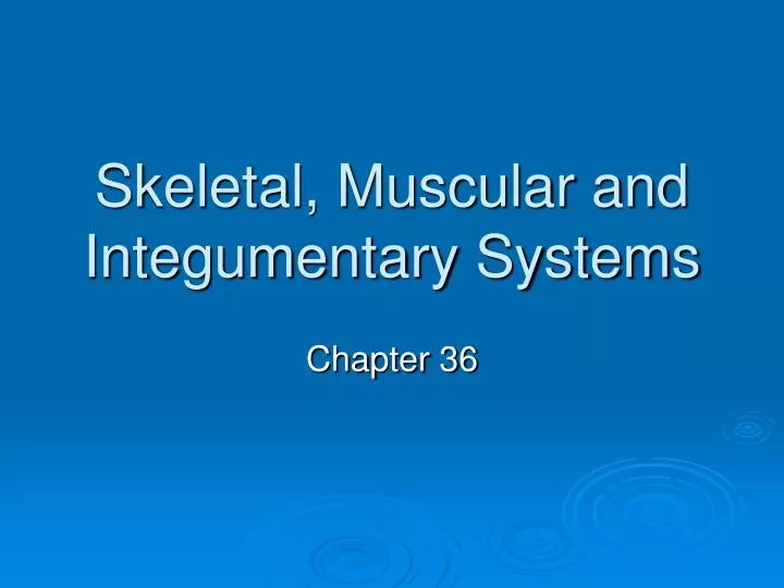 skeletal muscular and integumentary systems