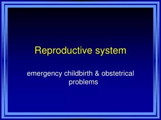 Reproductive system