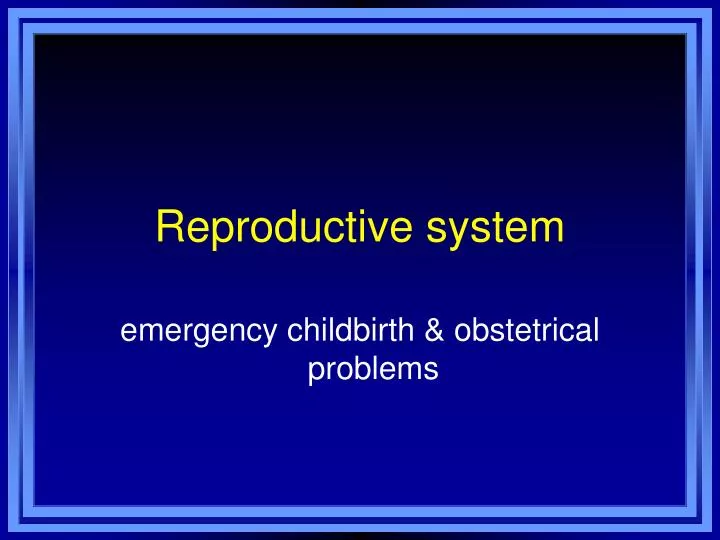 reproductive system