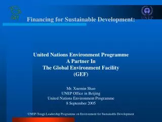 Financing for Sustainable Development: United Nations Environment Programme
