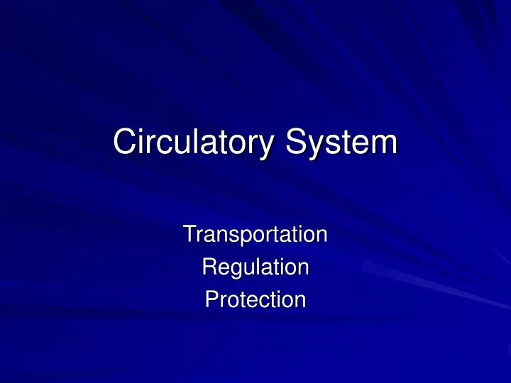 circulatory system