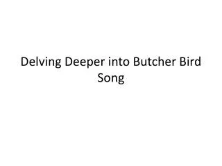 Delving Deeper into Butcher Bird Song
