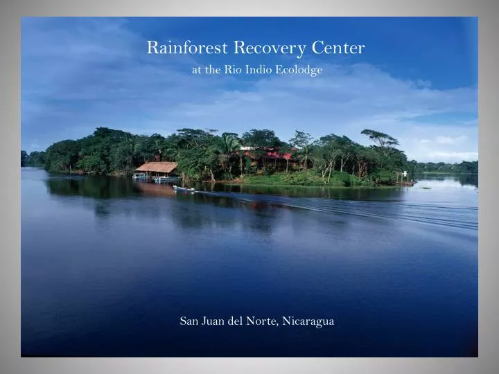rainforest recovery center at the rio indio ecolodge san juan del norte nicaragua
