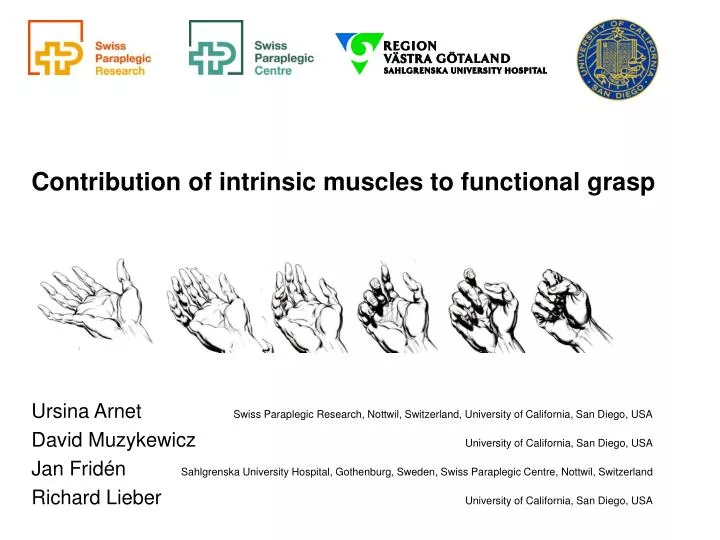 contribution of intrinsic muscles to functional grasp