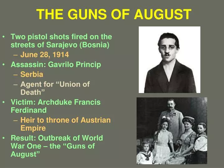 the guns of august