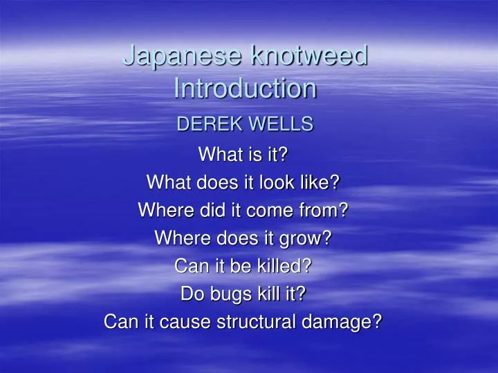japanese knotweed introduction derek wells