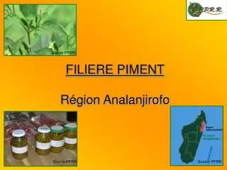 FILIERE PIMENT Région Analanjirofo